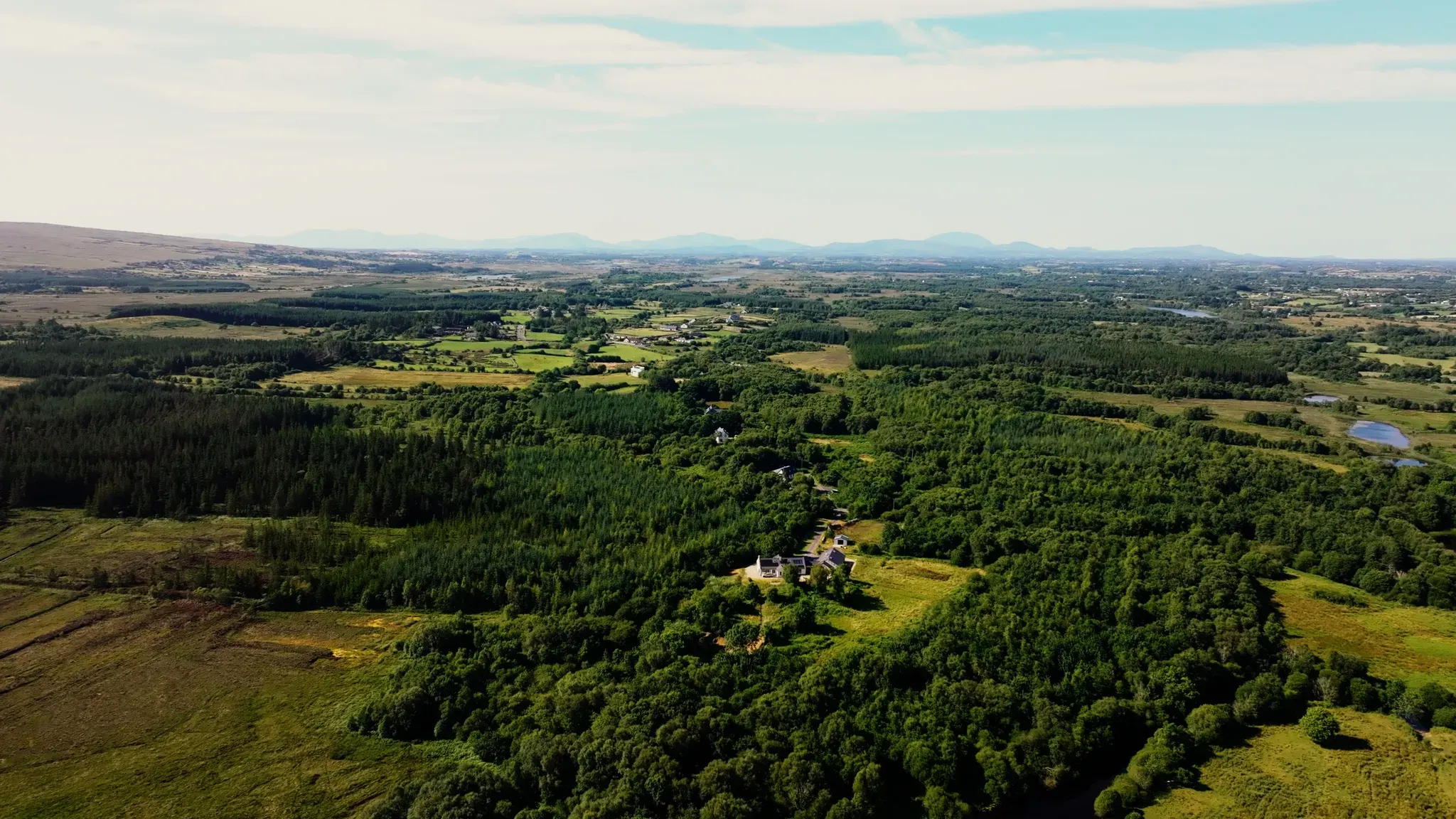 Aerial view of native woodland and farmland in County Mayo