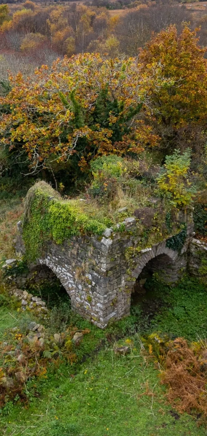 Ancient castle ruins rising from the Irish landscape