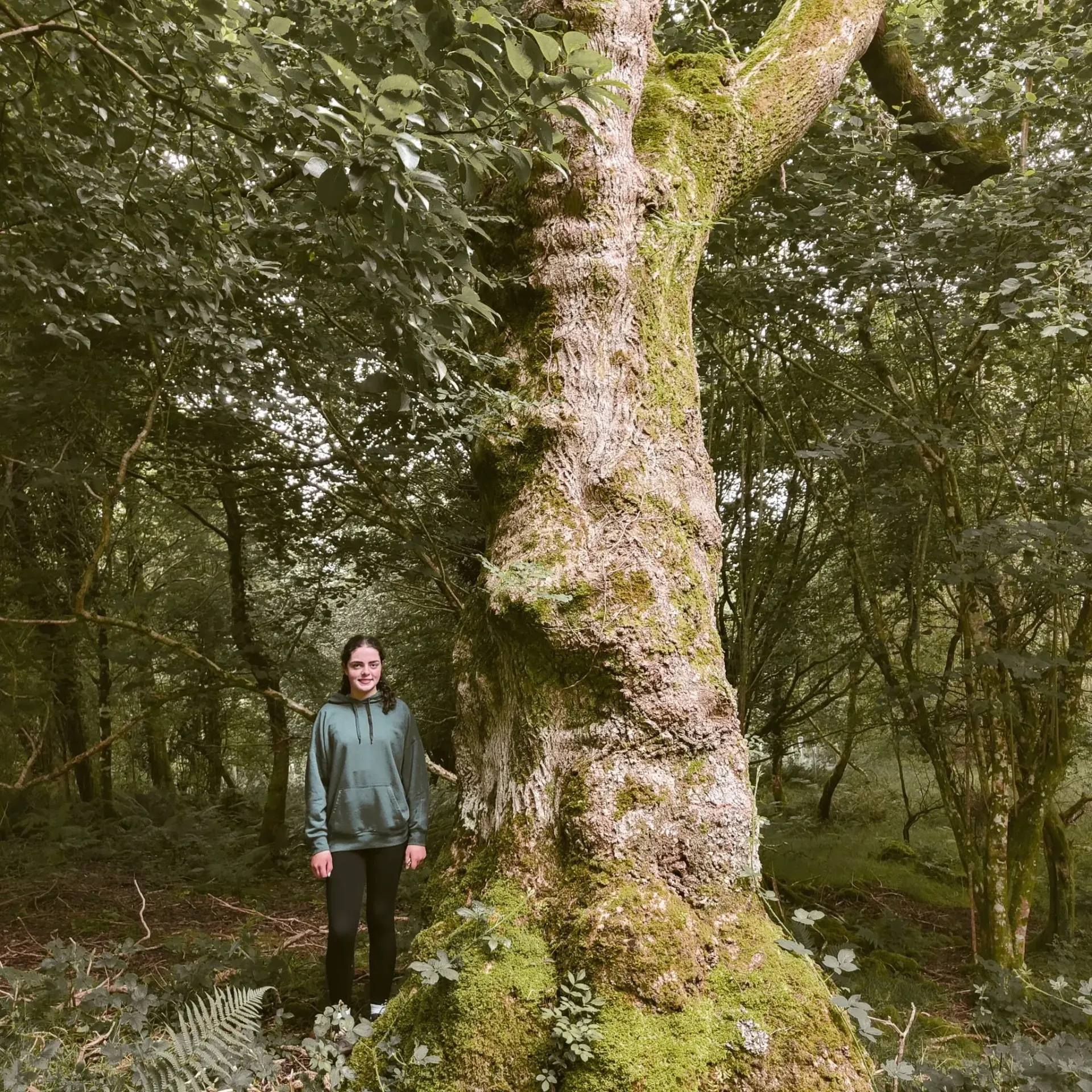 A person embracing a tree in the Irish woodland