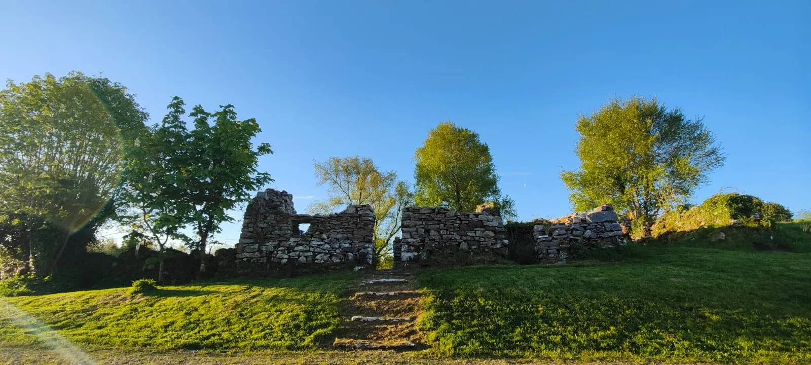 Ancient stone ruins surrounded by trees in County Mayo